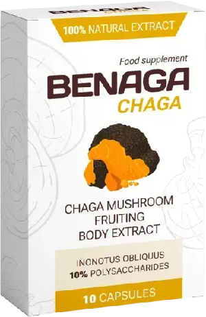 Benaga Chaga Vision