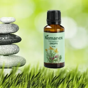 Nemanex Gastro #2