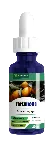 Fortunella