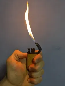 Crocodile Lighter #6