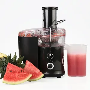 Xl Juicer #5