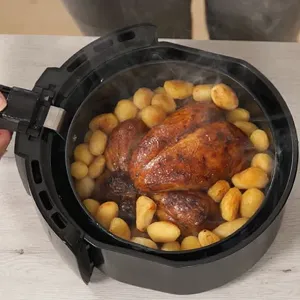 Oil Free Fryer #2