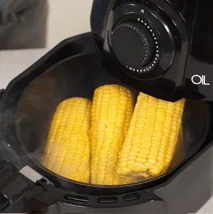 Oil Free Fryer #3