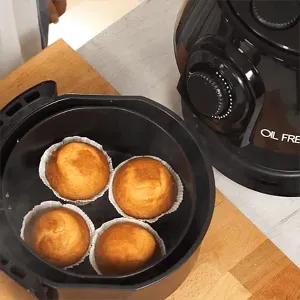 Oil Free Fryer #5