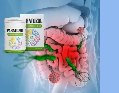 Paratozol #1