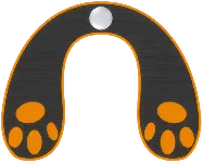 Trainer California Body