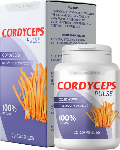Cordyceps Pulse weight loss